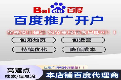 行业领先SEM托管代运营案例
